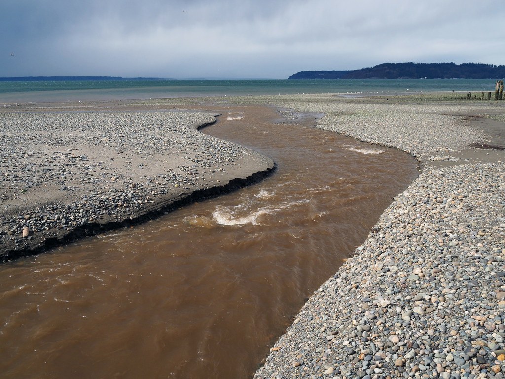 Picnic Point — Washington Trails Association